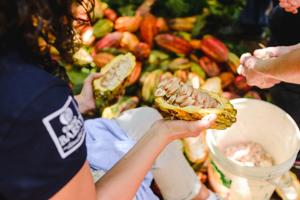 Barry callebaut trip to Peru, cacao collective, business trip, business documentary