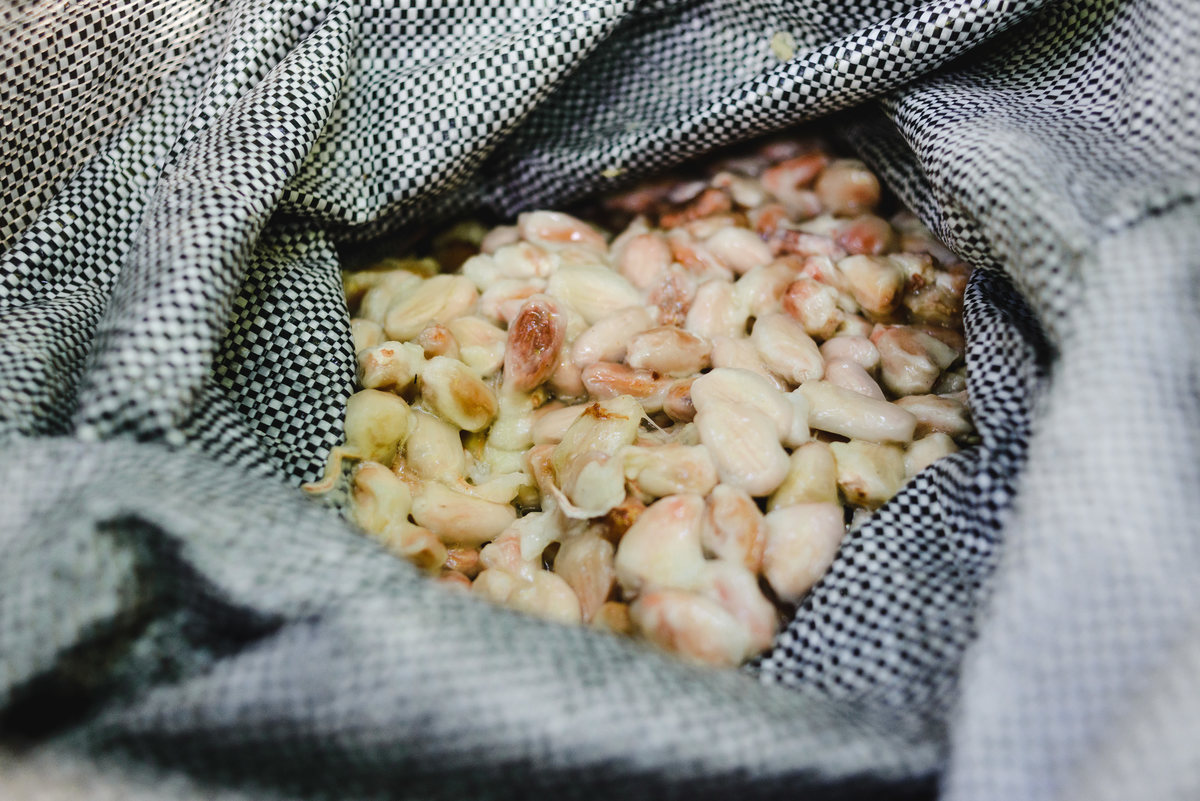 Barry callebaut trip to Peru, cacao collective, business trip, business documentary