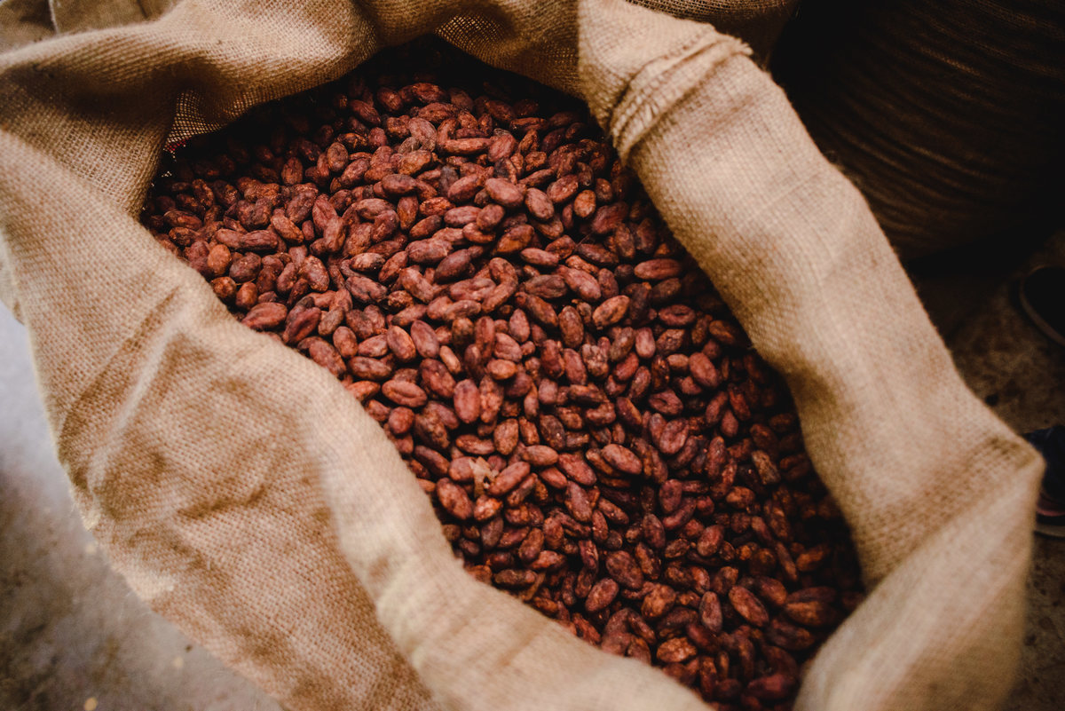 Barry callebaut trip to Peru, cacao collective, business trip, business documentary