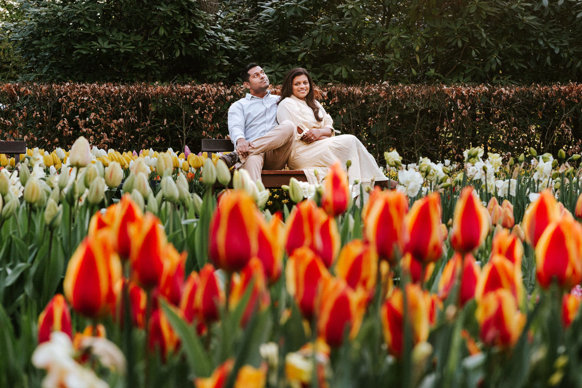 Tulip fields Amsterdam
Keukenhof photography
Tulip garden photoshoot
Amsterdam tulip vacation
Tulip field portraits
Spring photoshoot Amsterdam
Tulip season photography
Tulip field sessions
Amsterdam tulip experience
Keukenhof photoshoot
Tulip garden