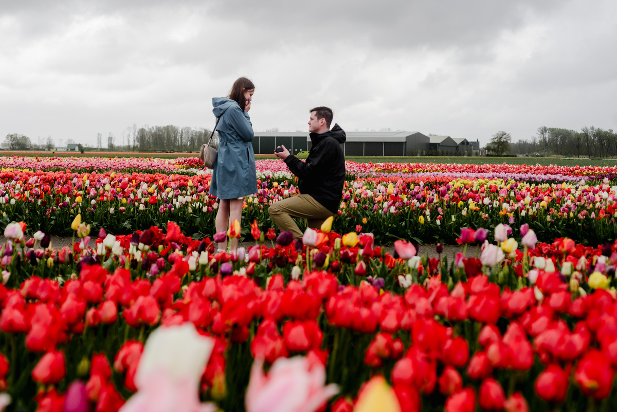 A Rainy Day Proposal at Tulip Experience Amsterdam: Capturing Love in Every Weather