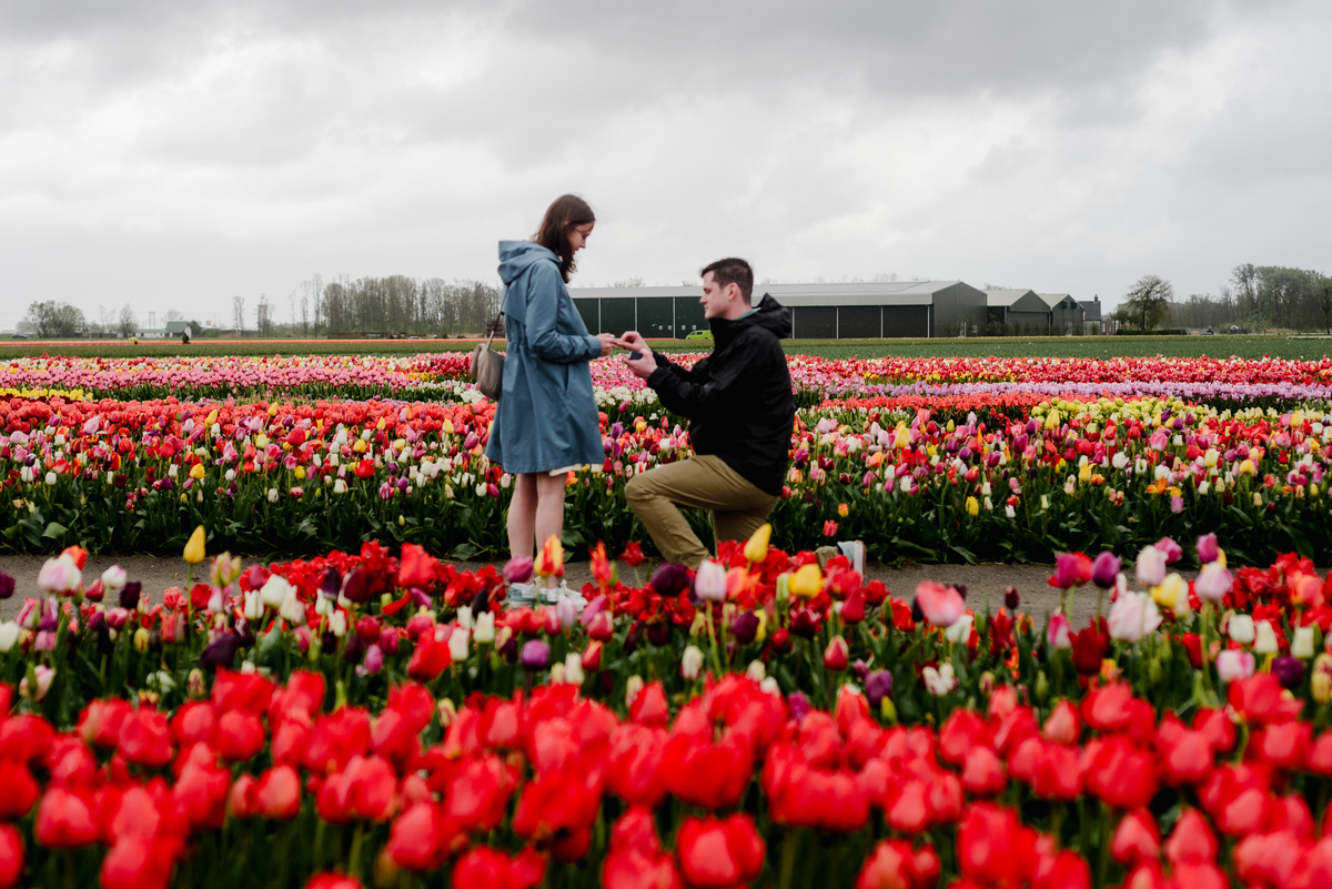 A Rainy Day Proposal at Tulip Experience Amsterdam: Capturing Love in Every Weather