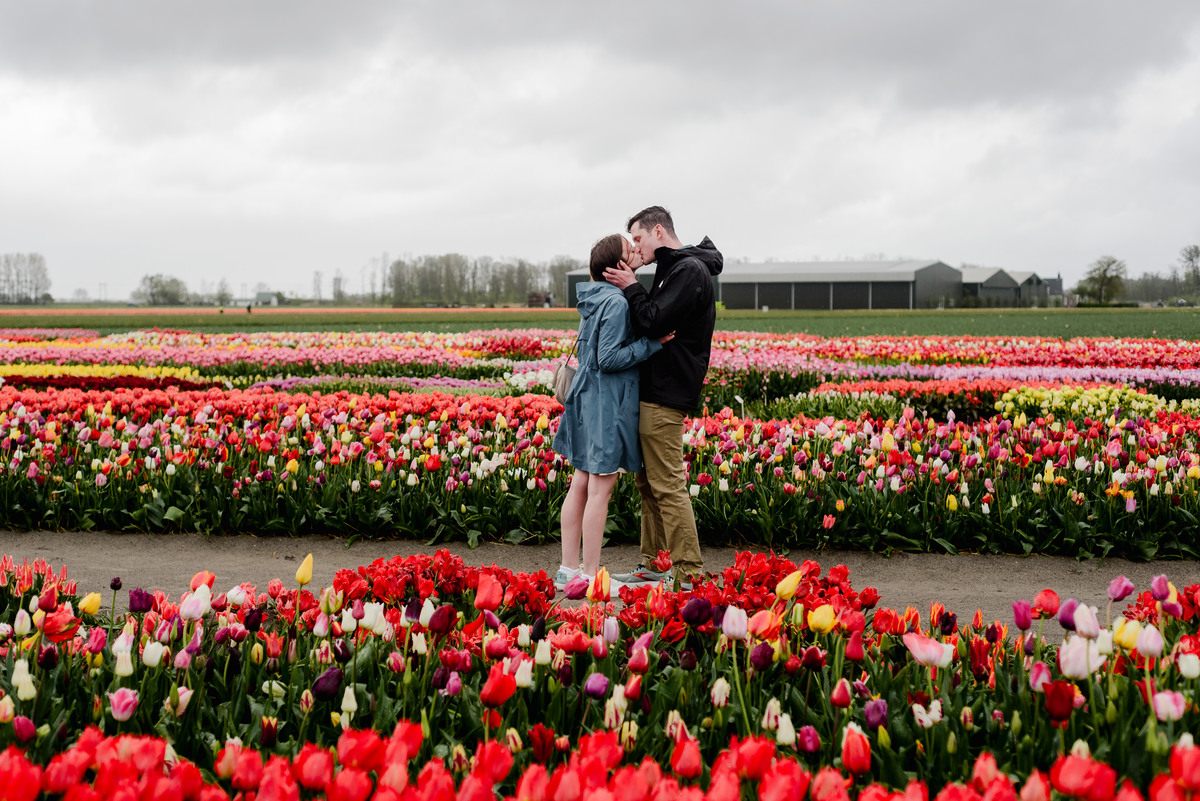 A Rainy Day Proposal at Tulip Experience Amsterdam: Capturing Love in Every Weather