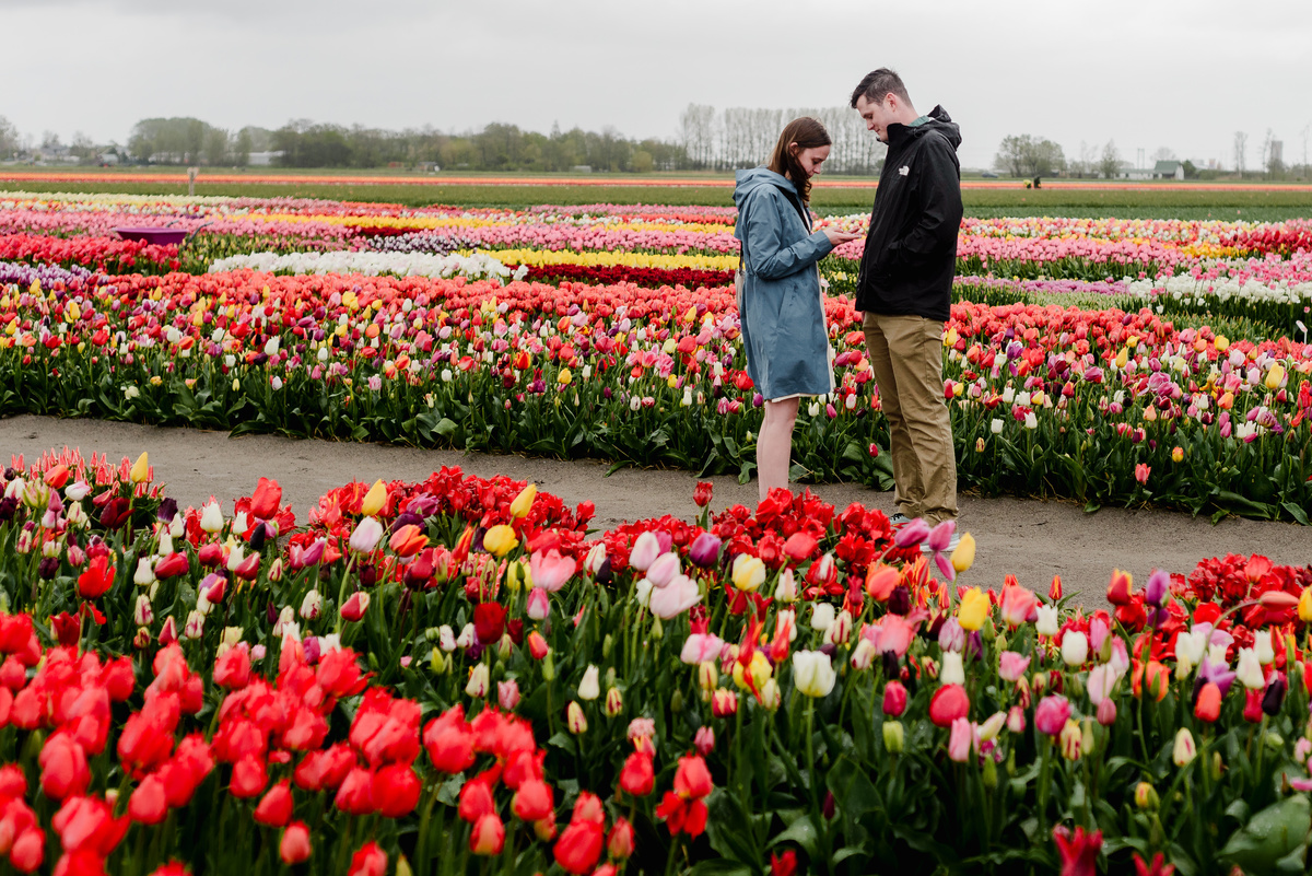 A Rainy Day Proposal at Tulip Experience Amsterdam: Capturing Love in Every Weather