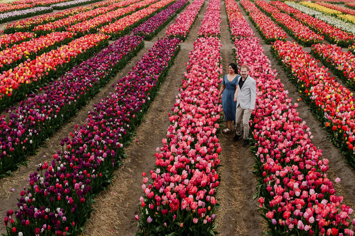 Tanya and Logan’s engagement photoshoot in the Netherlands' tulip fields started with a bike ride from Hillegom station. Despite the cold weather, we captured beautiful moments at The Tulip Barn, showcasing their love in stunning surroundings.