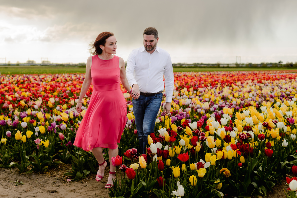 A couple walks hand in hand through a vibrant tulip field, the woman in a flowing red dress leading the way as they stroll among rows of red, yellow, and purple flowers.