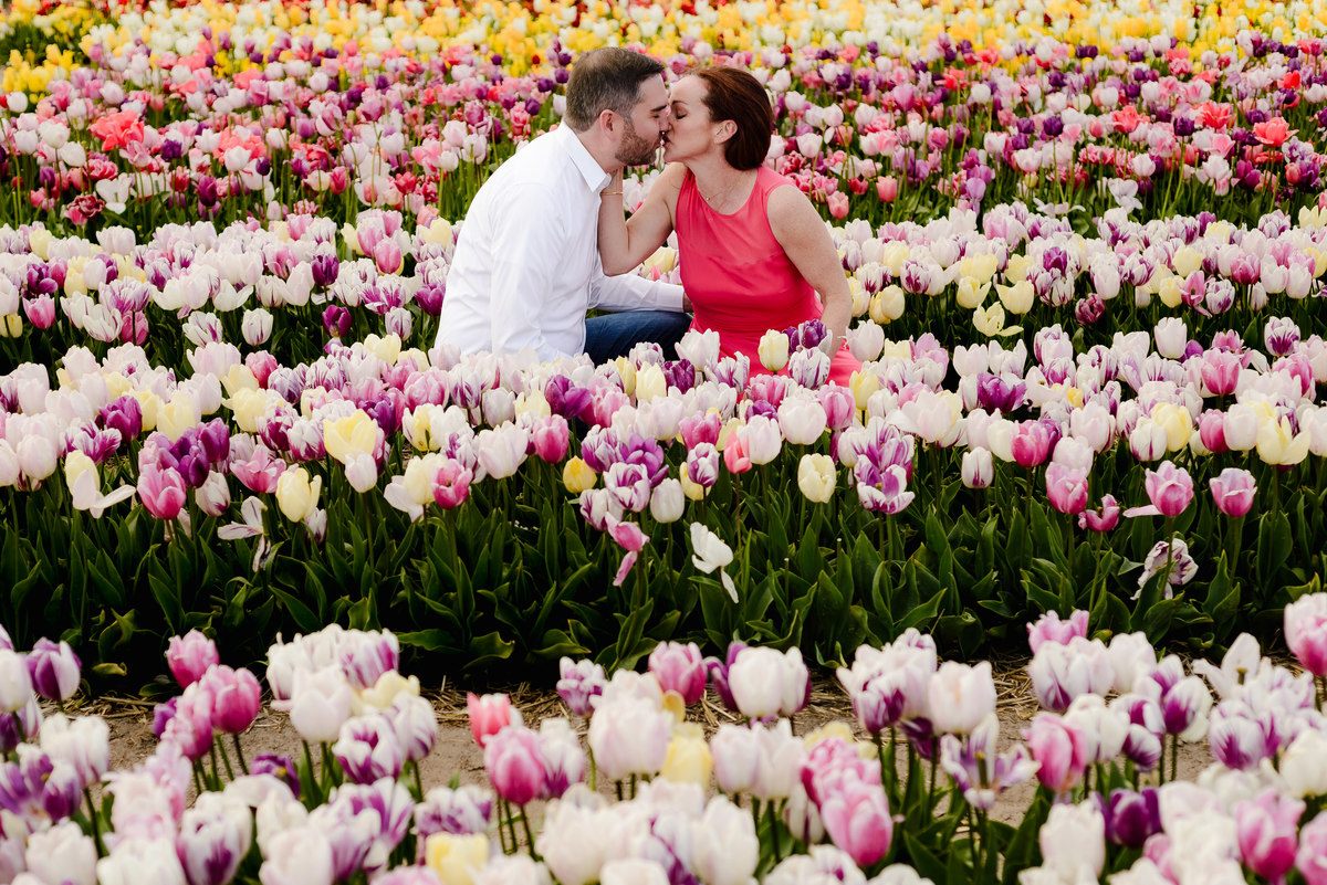  A romantic kiss shared between a couple sitting among pink and white tulips, surrounded by delicate petals and springtime colors.