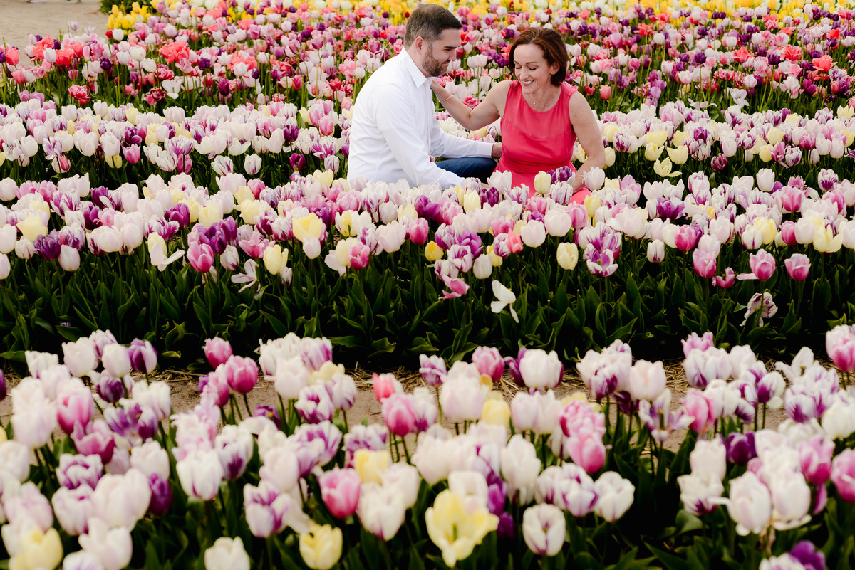 A joyful moment as a couple sits among blooming tulips, laughing and enjoying each other’s company in a picturesque flower field.