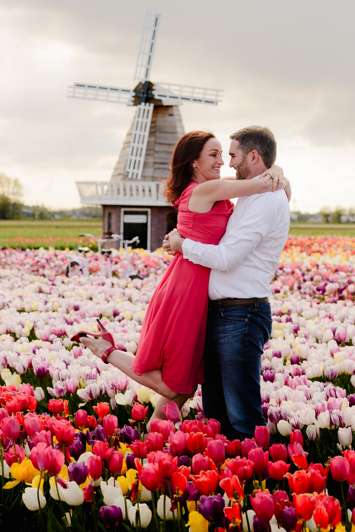 A romantic moment as a man holds his partner in a red dress close, surrounded by colorful tulips, with a windmill adding to the picturesque Dutch landscape.
