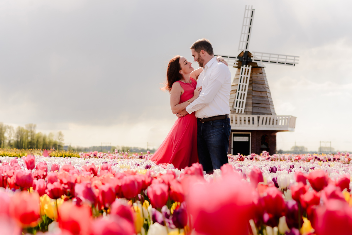A romantic moment as a man holds his partner in a red dress close, surrounded by colorful tulips, with a windmill adding to the picturesque Dutch landscape.