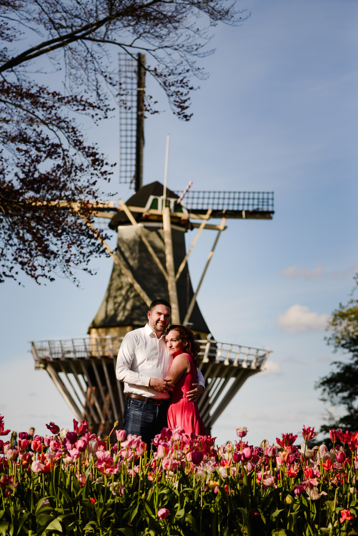 A couple embraces in front of a traditional Dutch windmill, surrounded by blooming pink tulips, with golden sunlight casting a romantic glow.