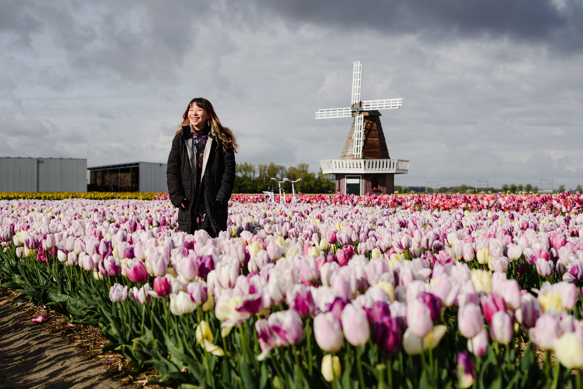 Woman standing in a tulip garden in Hillegom, surrounded by pink and white tulips, with a traditional Dutch windmill in the background under dramatic clouds.