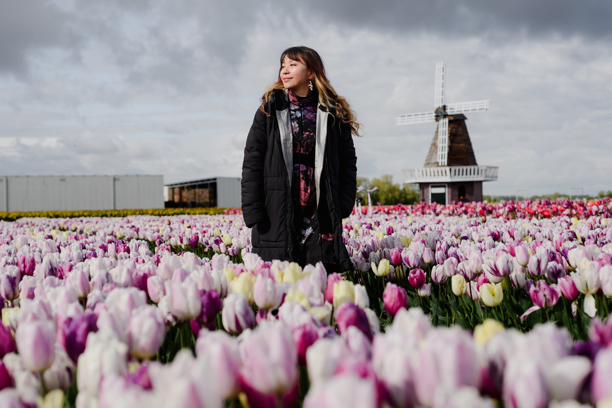 Woman standing between blooming tulip rows in a Dutch tulip garden, looking to the side as sunlight breaks through dark clouds.