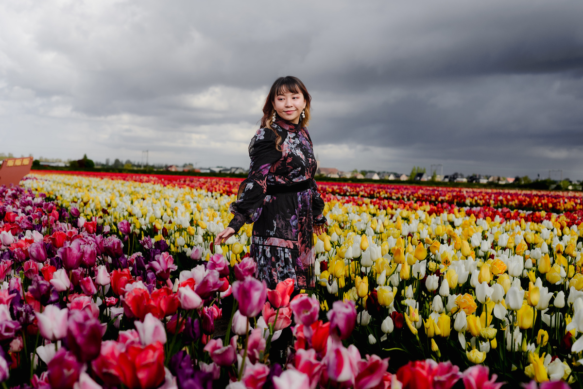 Woman walking through tulip fields in Hillegom under a dramatic cloudy sky, surrounded by red, yellow, and white tulips.