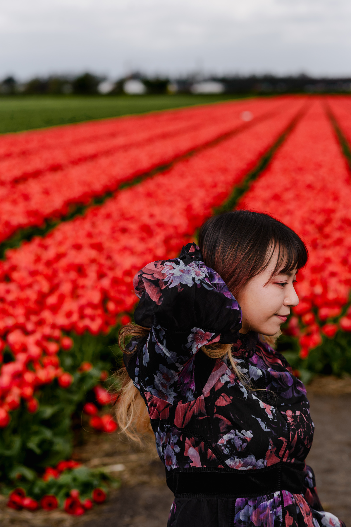 Side profile of a woman adjusting her hair while standing in front of red tulip rows in Hillegom, Netherlands.