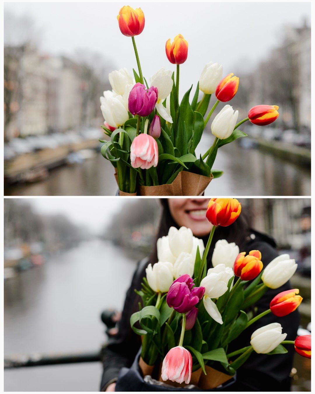 A close-up of a vibrant tulip bouquet held on a canal bridge in Amsterdam. Captured after National Tulip Day, this spontaneous moment highlights the beauty of fresh tulips, greenhouse-grown for early blooms before spring. A perfect touch to any Amsterdam 