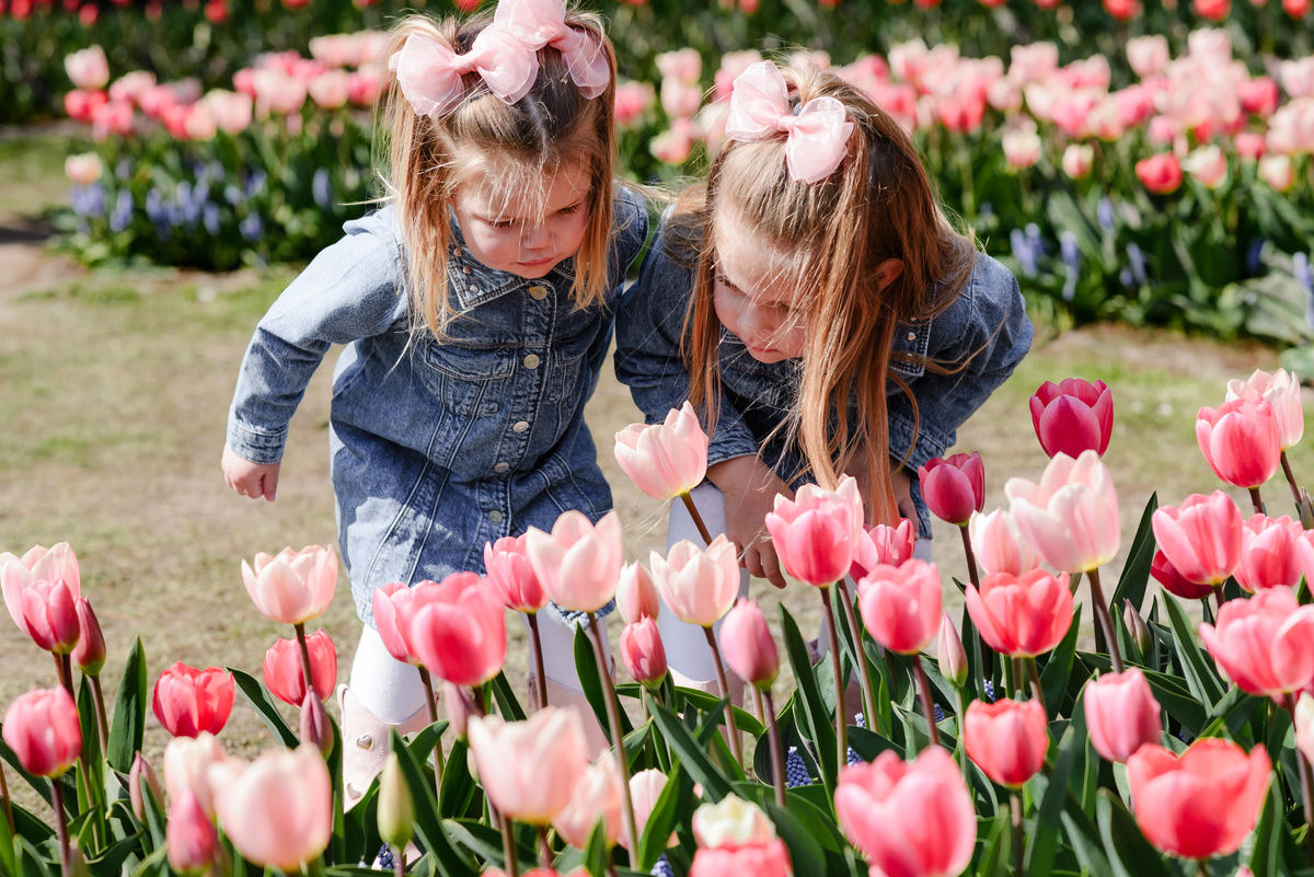 Two young sisters explore the vibrant tulip beds at Keukenhof Gardens in early April, capturing the wonder of springtime in the Netherlands during a family photo session.