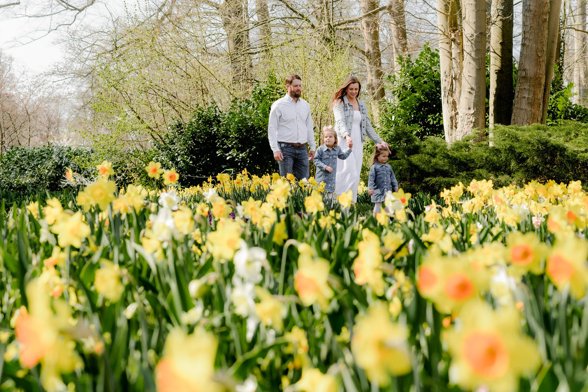 A family strolls through a vibrant field of yellow daffodils in Keukenhof Gardens during early April, surrounded by fresh spring blooms and lush greenery in one of the Netherlands' most iconic floral destinations.