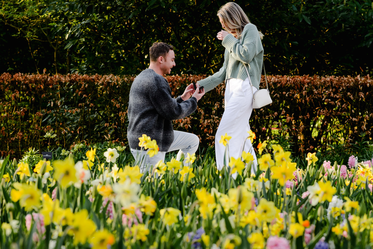 A surprise marriage proposal in Keukenhof Gardens, with vibrant spring flowers blooming around a couple during the special moment.