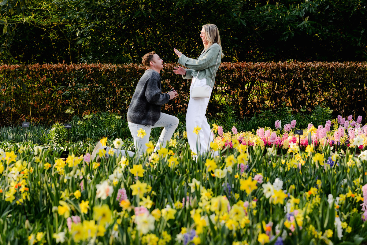 Man proposing to his partner in a bed of daffodils and tulips at Keukenhof Gardens, capturing her joyful reaction in a magical spring setting.