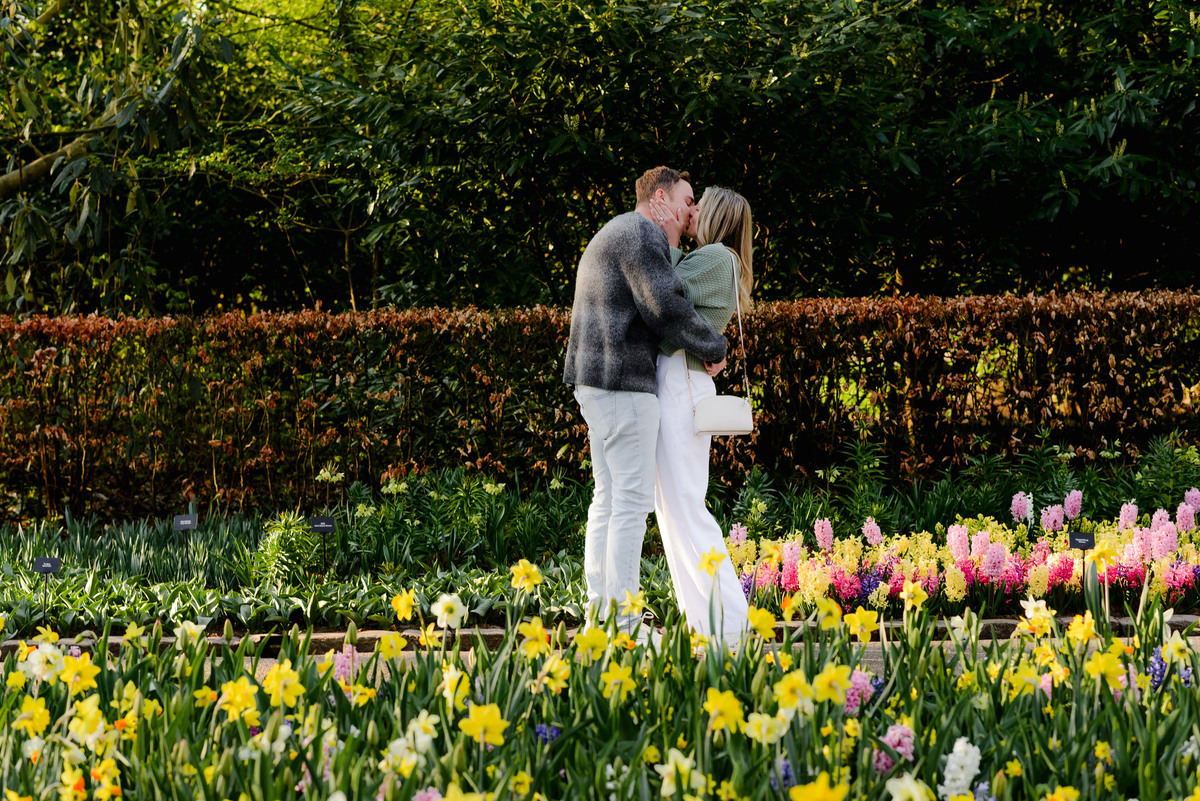 Man proposing to his partner in a bed of daffodils and tulips at Keukenhof Gardens, capturing her joyful reaction in a magical spring setting.