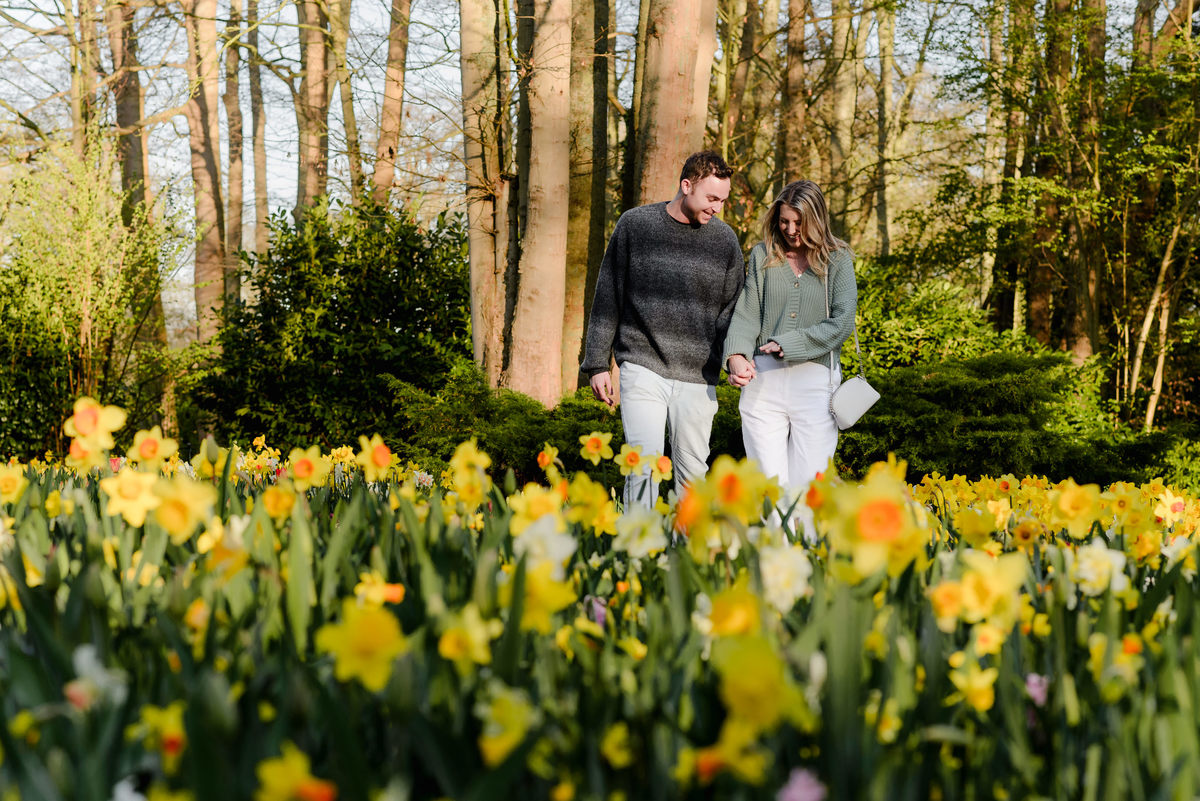 Engaged couple walking side by side through blooming daffodils in Keukenhof Gardens, enjoying the spring morning.