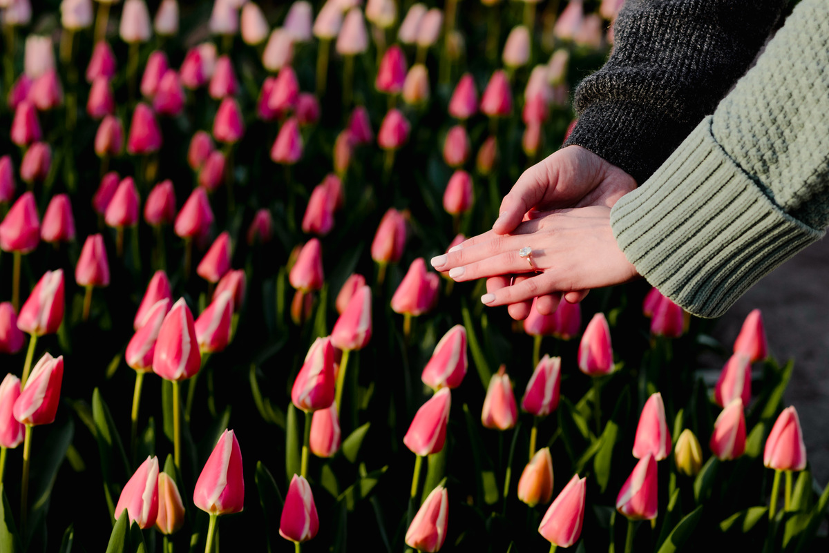 Close-up of a sparkling engagement ring on her finger with a backdrop of blooming pink tulips in Keukenhof Gardens.