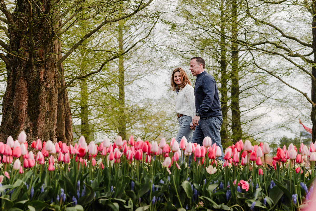 A couple strolls hand in hand past a field of pink tulips, surrounded by towering trees in early spring bloom at Keukenhof Gardens.