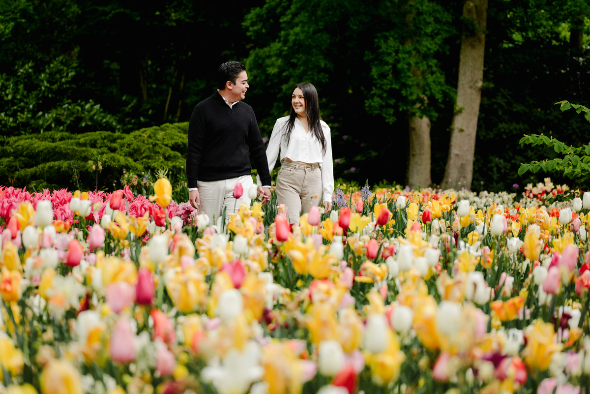 Surprise engagement proposal at Keukenhof Gardens during tulip season in May