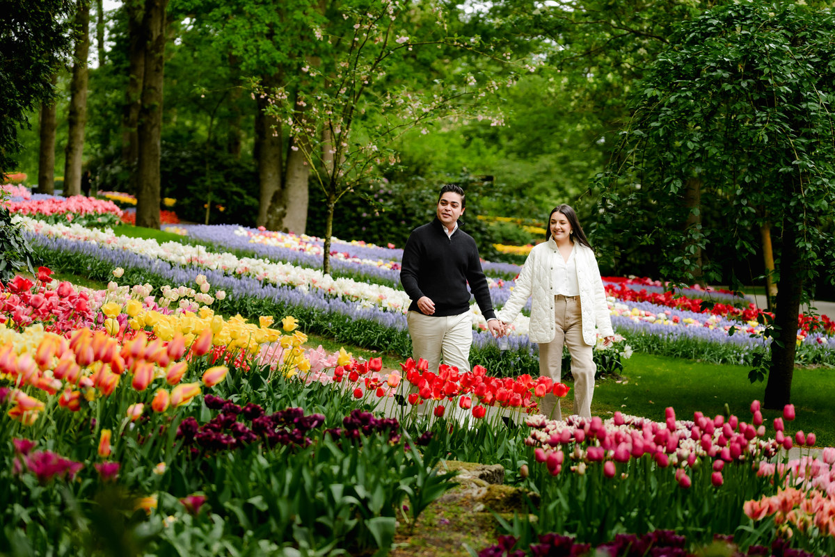 Surprise engagement proposal at Keukenhof Gardens during tulip season in May