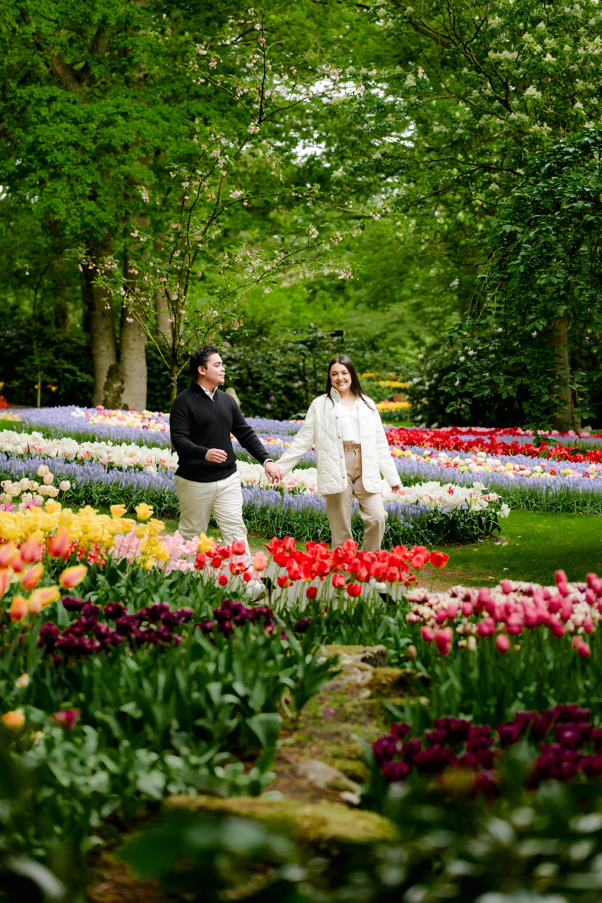 Surprise engagement proposal at Keukenhof Gardens during tulip season in May