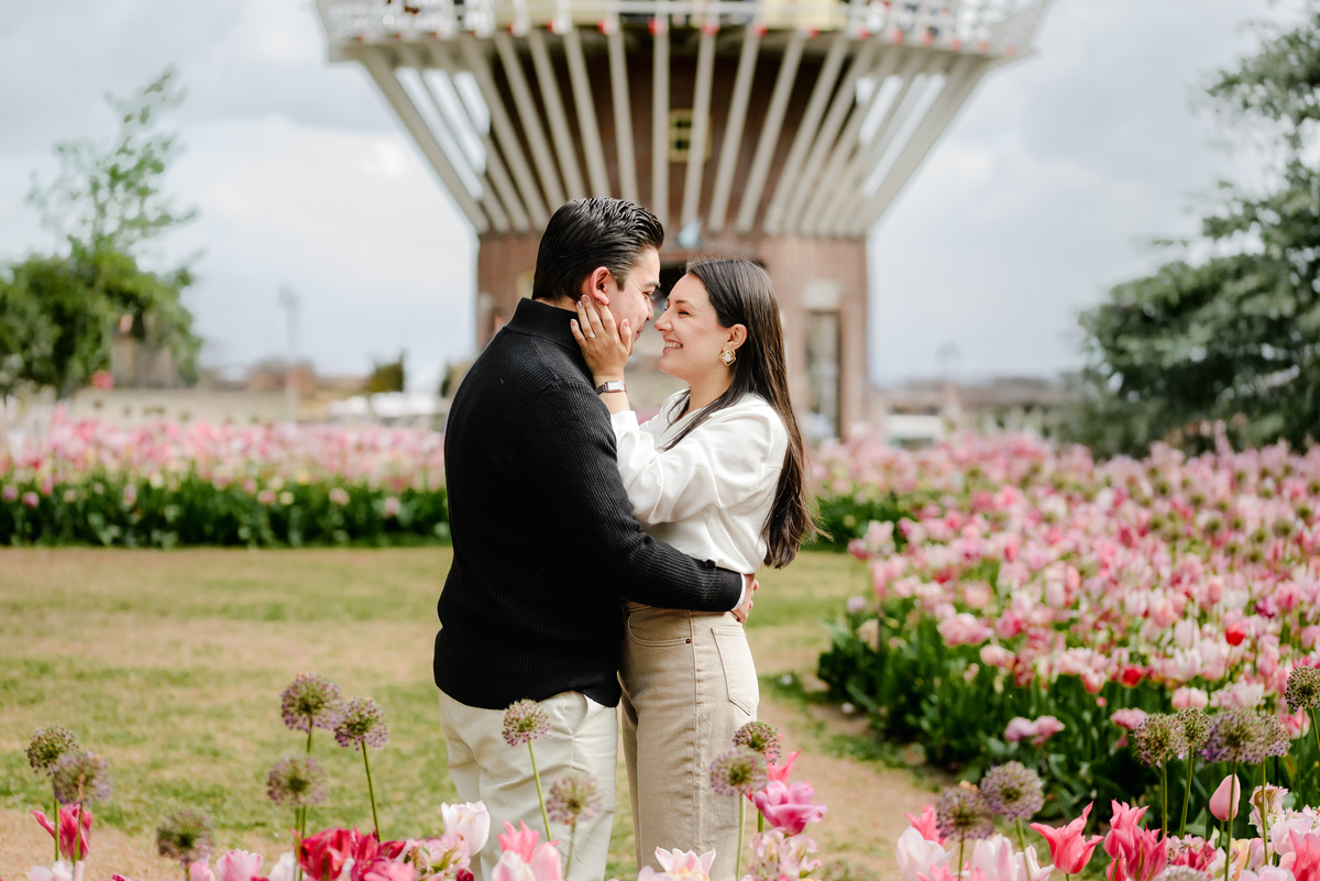 Surprise engagement proposal at Keukenhof Gardens during tulip season in May