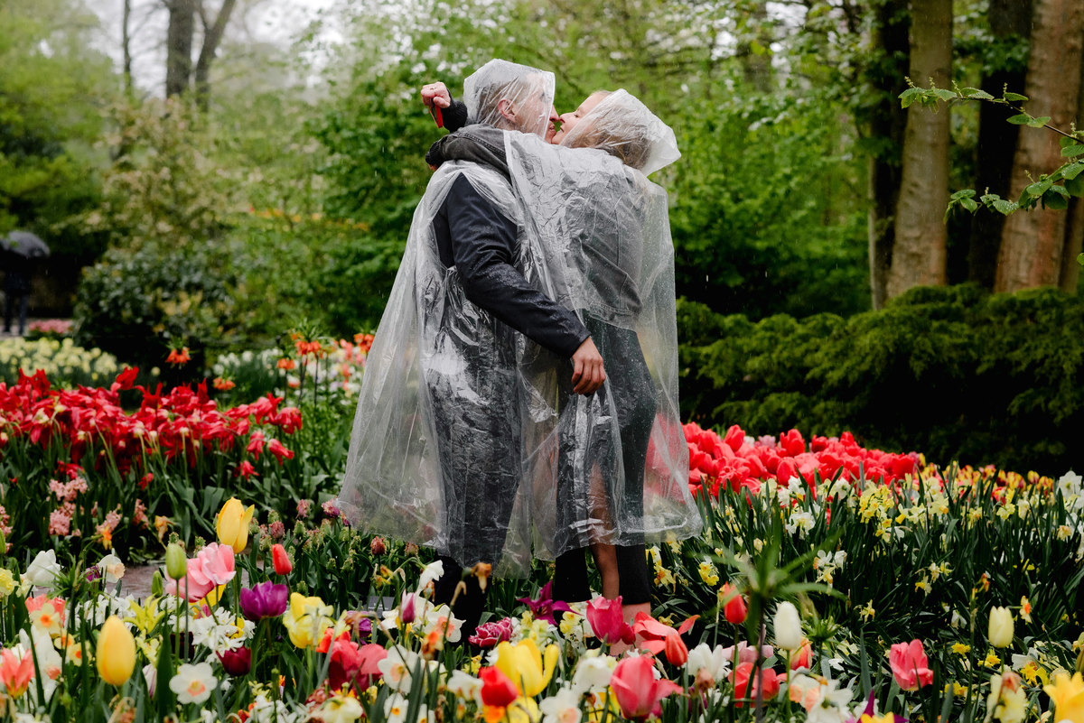 Couple embracing during a surprise proposal in Keukenhof tulip gardens, wearing clear rain ponchos on a stormy spring day.