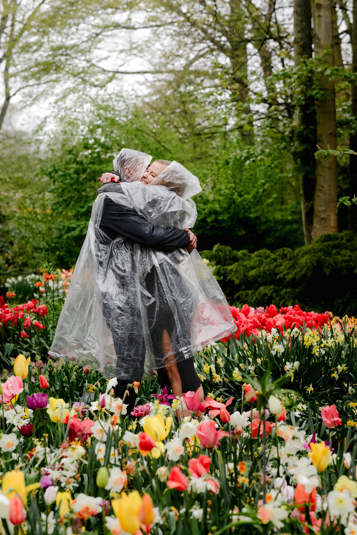Proposal celebration moment at Keukenhof Gardens, couple laughing and holding each other as rain clears over the tulip beds.
