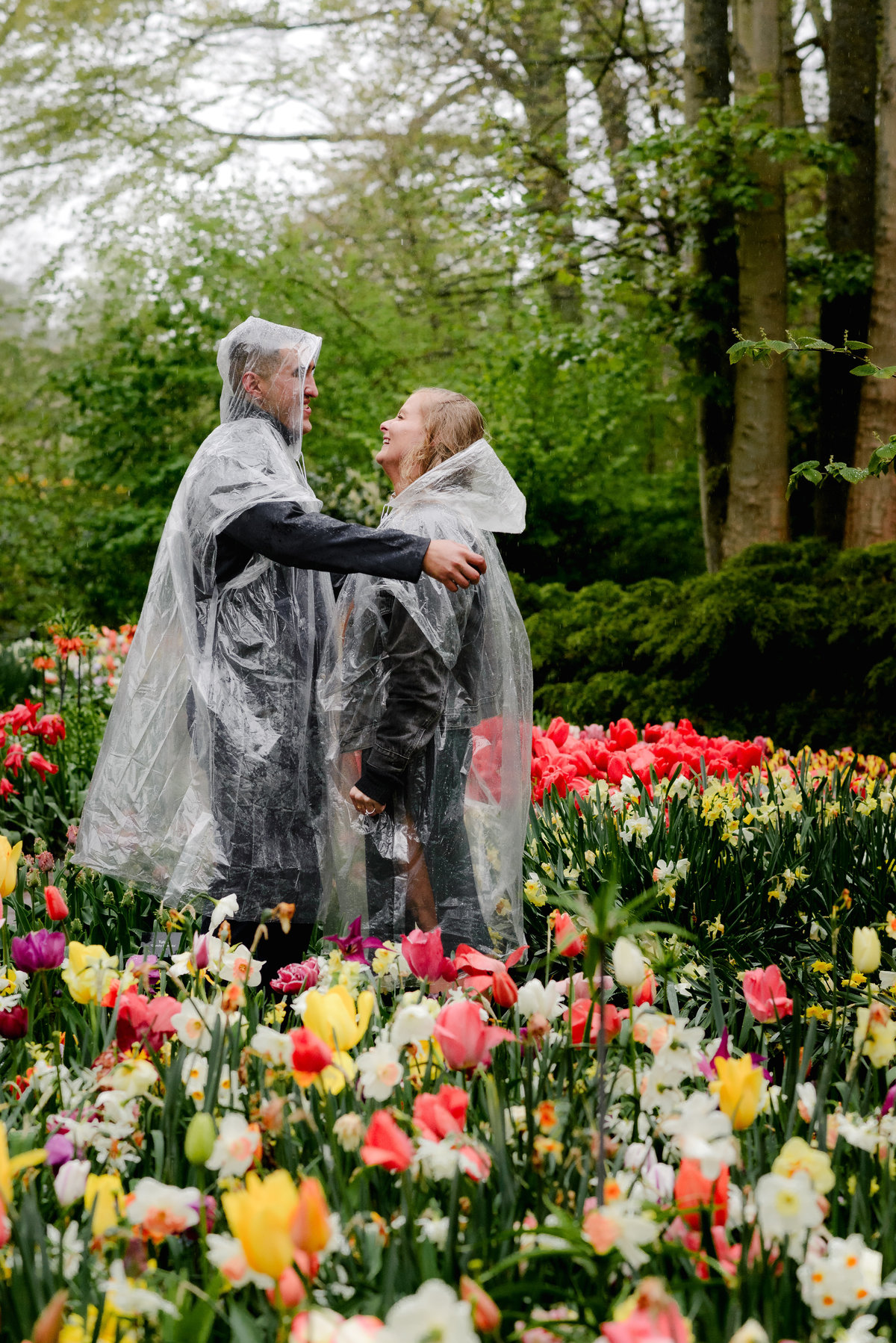 Newly engaged couple kissing during a rainy proposal in Keukenhof tulip gardens, surrounded by spring flowers.