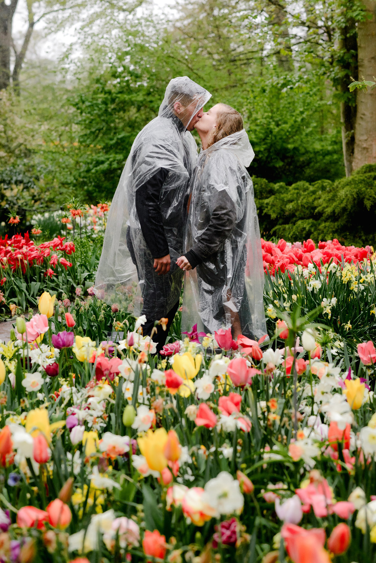 Engaged couple standing together after a proposal at Keukenhof Gardens, smiling in the rain among blooming tulips.
