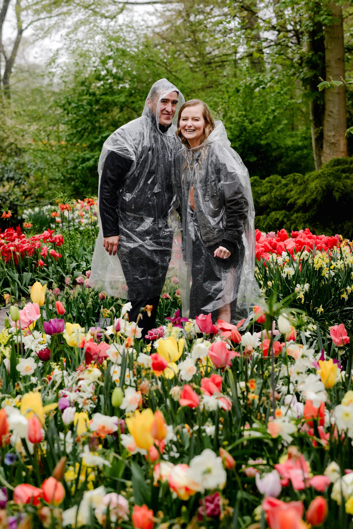 Couple standing together in Keukenhof tulip gardens during rain, wearing transparent rain ponchos, surrounded by colorful spring flowers.