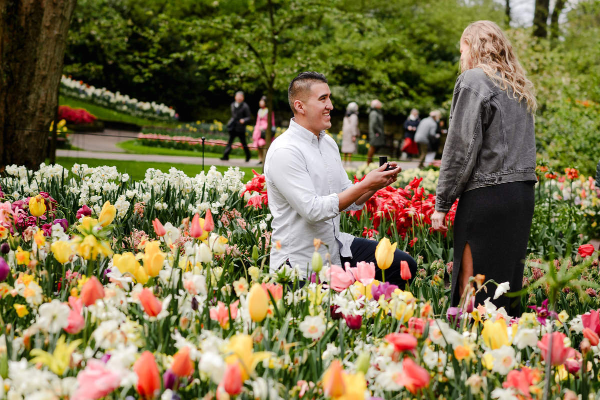 Marriage proposal at Keukenhof with groom kneeling among tulips, holding a ring box while bride reacts with surprise.
