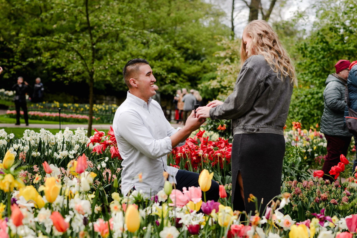 Engagement moment in Keukenhof tulip gardens as groom proposes on one knee, colorful flowers and visitors blurred in the background.
