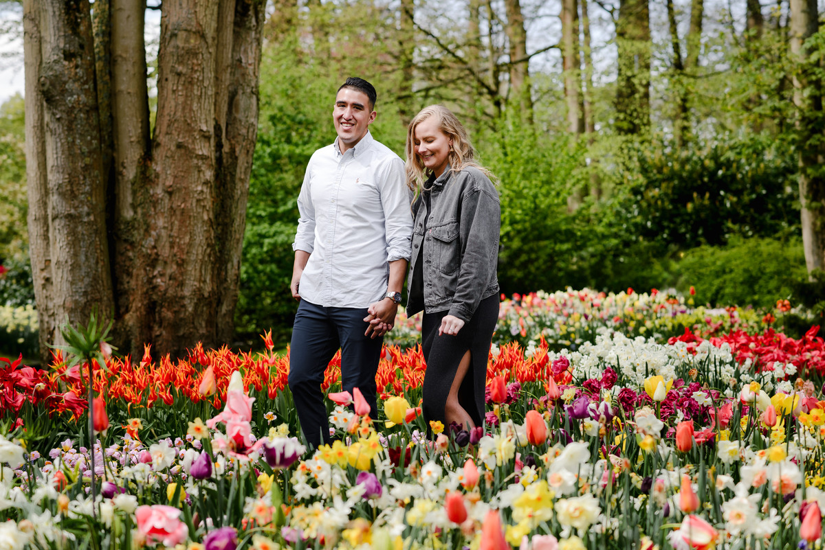 Newly engaged couple walking hand in hand through Keukenhof gardens after proposal, surrounded by vibrant tulips.