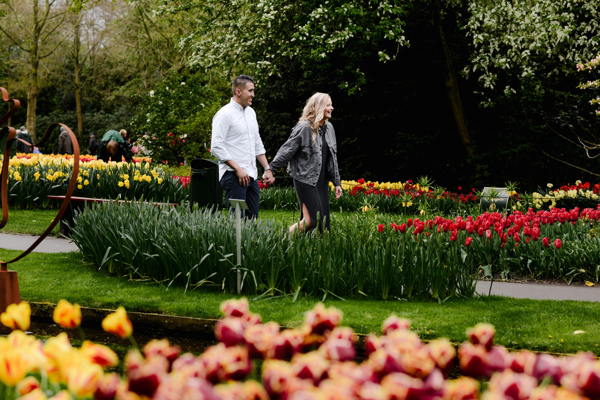 Engaged couple walking hand in hand through Keukenhof Gardens in spring