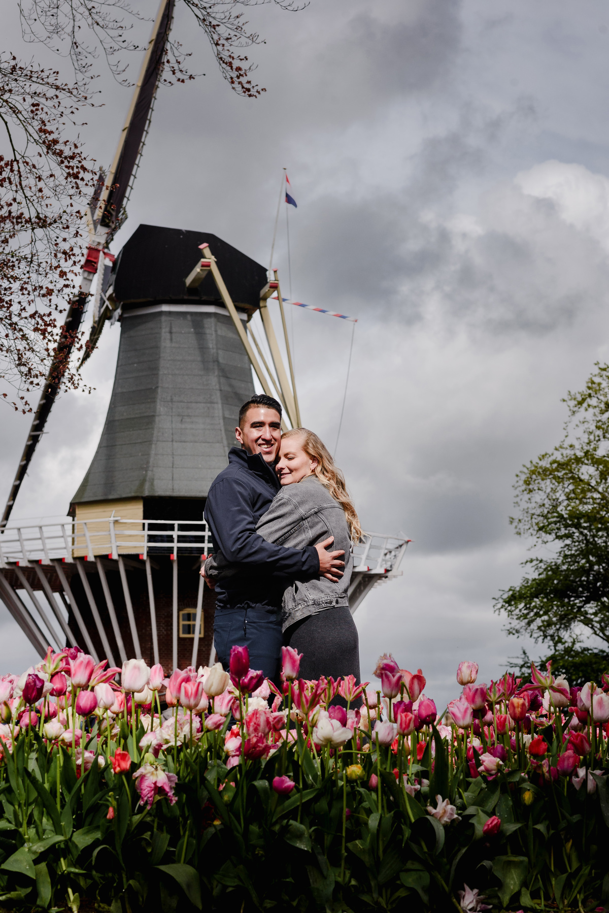 Engaged couple hugging near windmill at Keukenhof Gardens in springtime