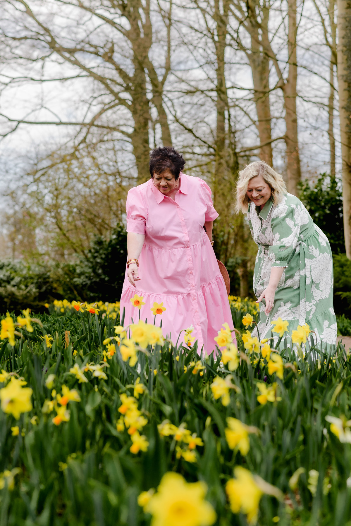 Keukenhof in March daffodils in bloom