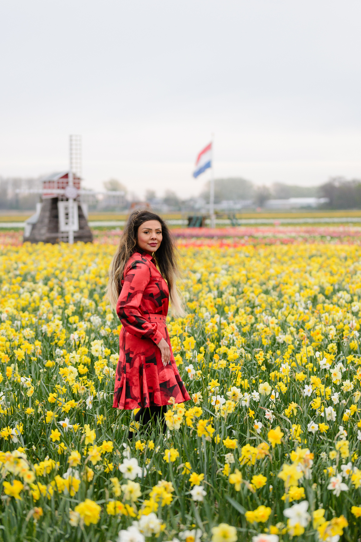 Female solo traveler posing on a photoshoot in a daffodil field with a windmill in the background and a visible Dutch flag. This is in Tulip Experience Amsterdam during Tulip Season 2026. 