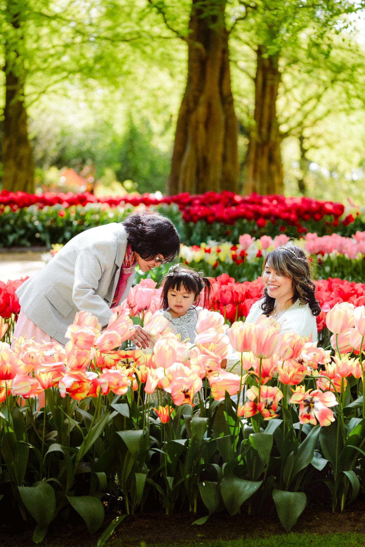 Three generations of a family enjoying the tulip displays at Keukenhof Gardens