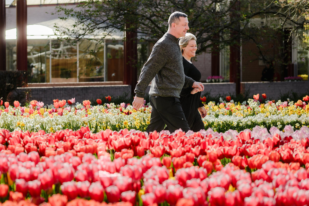 Couple portrait among blooming tulips during tulip season in the Netherlands