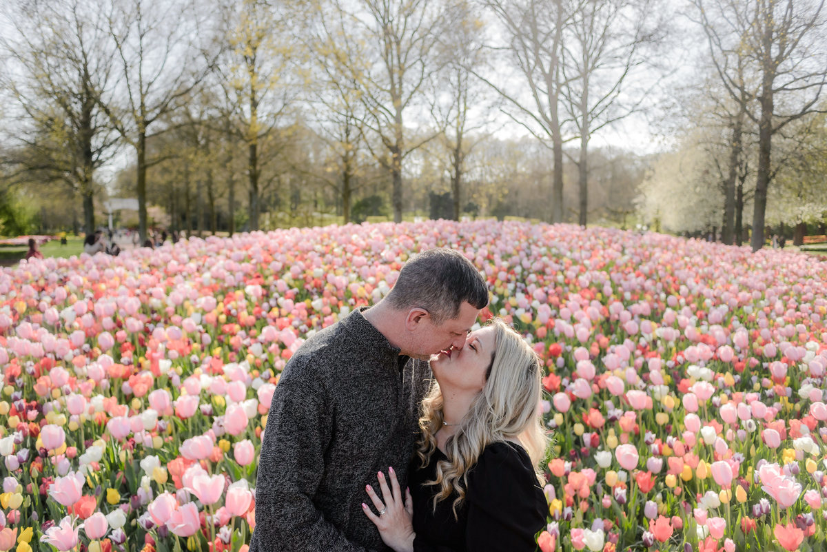 Couple portrait among blooming tulips during tulip season in the Netherlands