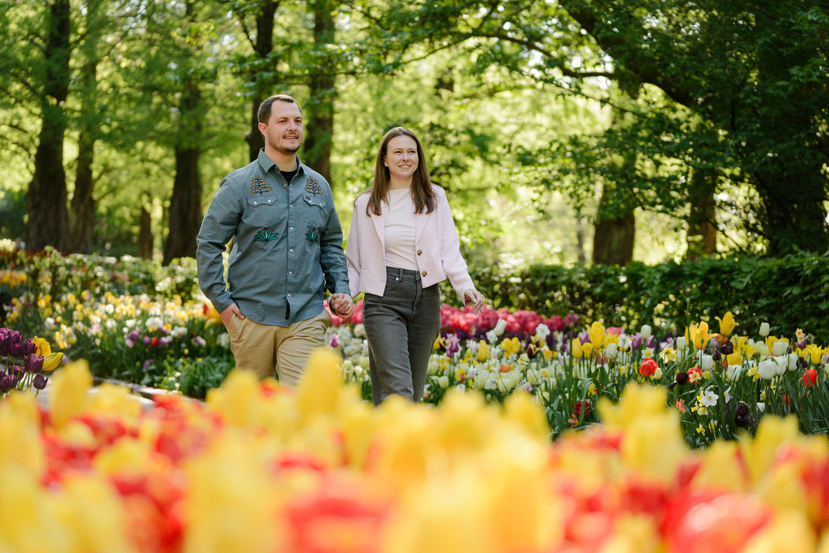 Couple walking together through tulip gardens after a surprise proposal.