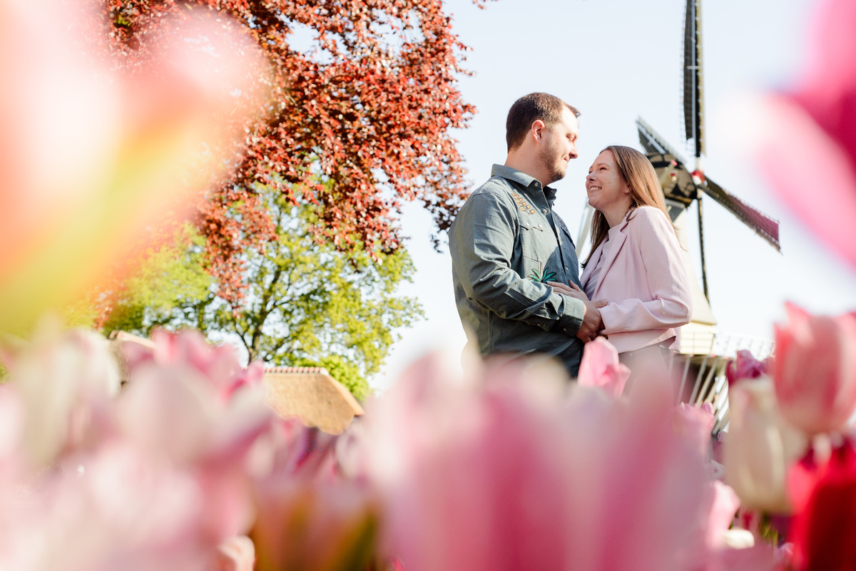 Newly engaged couple photographed among tulips with a traditional Dutch windmill in the background.