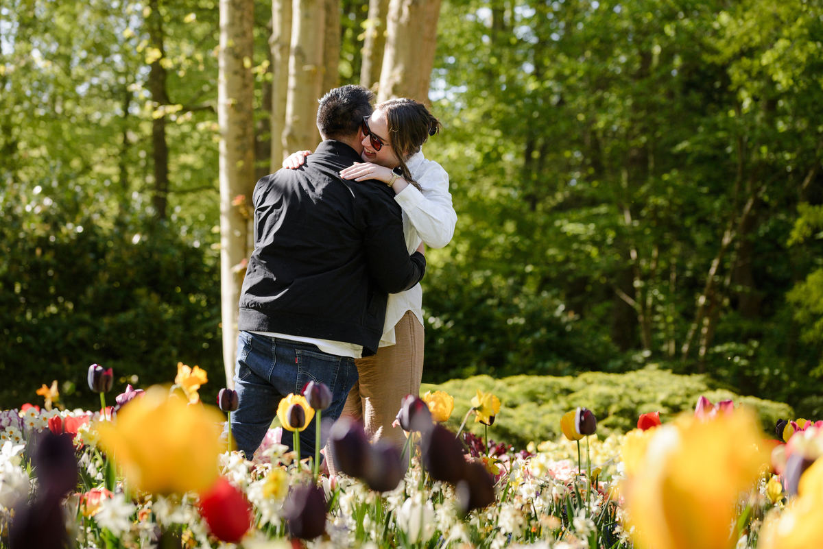 Newly engaged couple embracing among tulip displays moments after the proposal.